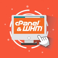 cPanel 5 Account